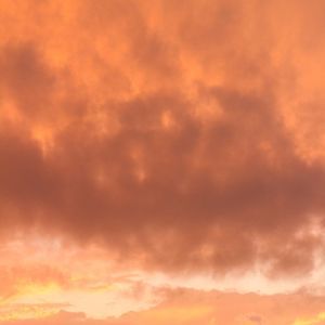 Meet your Posher, Gideon